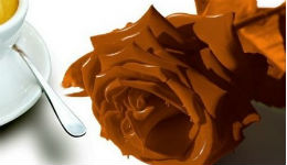 Այսօր շոկոլադի համաշխարհային օրն է