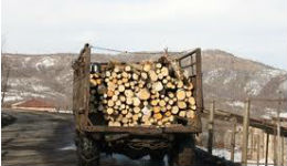 Փայտով բեռնված մեքենաներ են տեսնում աղաղակում են՝ անտառահատում է