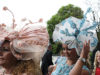 660x432quality1005b0de1485189092e27508cb44dfe0a86