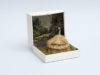 vintage-ring-box-miniature-diorama-talwst-v2