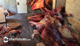 Երևանում «Գում»-ի շուկայի մոտ հայտնաբերվել է ձիու միս, որը պետք է վաճառվեր սպառողներին